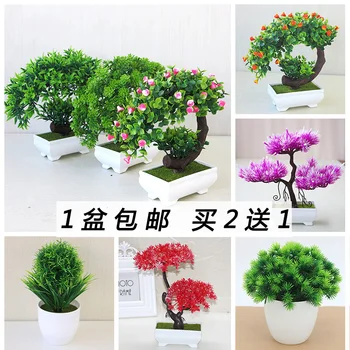 Modeliavimo vazoninių augalų ornamentais, vidaus ir lauko dirbtinės gėlės ir žalios vazoninių augalų, kraštovaizdžio namų puošybai gėlių